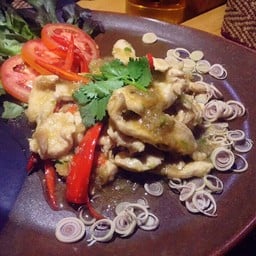 แฮปปี้เทอร์เทิล