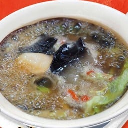 ปลิงทะเลเป๋าฮื้อน้ำแดง