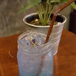 Noble Blue Butterfly Pea