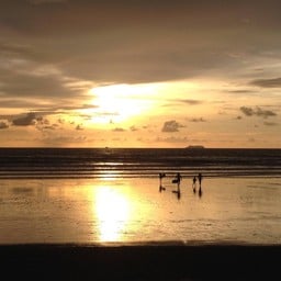 โนเบิ้ลเฮ้าส์