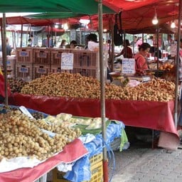 เรือนทรายแซนดี้