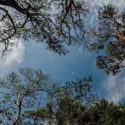 เดอะซันรีสอร์ทแอนด์เรสเทอรองท์