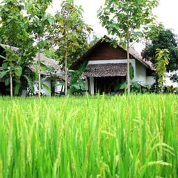 เฮือนเมืองปายแอทรีสอร์ท