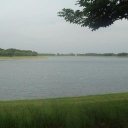 ไรเดอร์รีสอร์ท