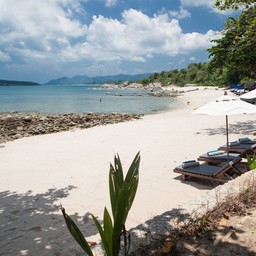 ซีแดนซ์รีสอร์ท