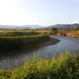 ภูรวิดารีสอร์ท