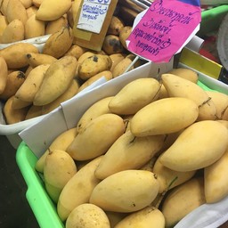 นิ่ม ข้าวเหนียวมะม่วง กะทิสด