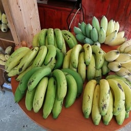 กล้วยจากสวน