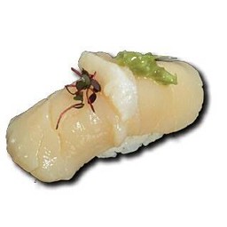 HOTATE
