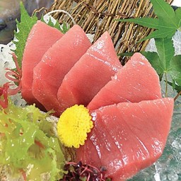 Chu Toro Sashimi