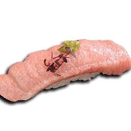 O-Toro