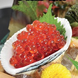 IKURA SASHIMI