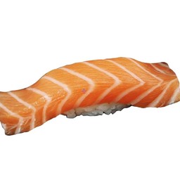 Salmon.