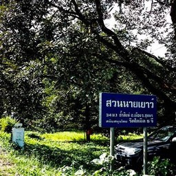 สวนนายเยาว์