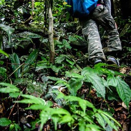 อุทยานแห่งชาติคลองพนม