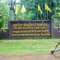 เขตรักษาพันธุ์สัตว์ป่ายอดโดม