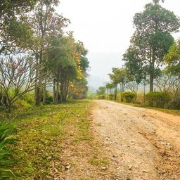 วนอุทยานน้ำตกวังธารทอง