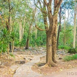 สวนรุกขชาติสกุโณทยาน