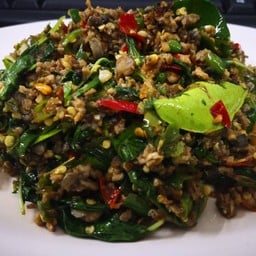 ขี้เมากบ