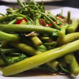 กระเฉดไฟแดง