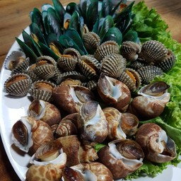 บ่าวน้อยขายหอย CNX