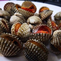 หอยแครงลวก