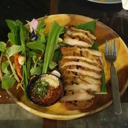 คอหมูดำย่าง พันธุ์เบิร์กเชียร์