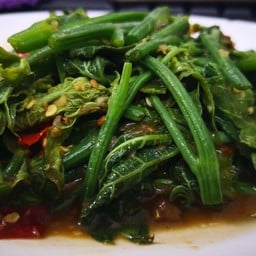 ยอดมะระไฟแดง