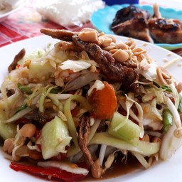 ตำป่า
