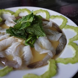 แมกไม้ชายเลน