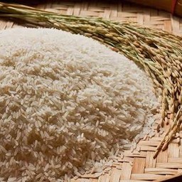 ข้าวออร์แกนิค พันธุ์ไทยเดิม -