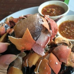 ปูไบ้ใหญ่กำลังดี