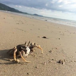 หาดมุกแก้ว