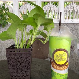 กาแฟสดชีโน่