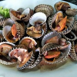 หอยแครงลวก