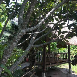 บรรยากาศที่นั่งในร้าน