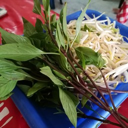 ก๋วยเตี๋ยวแชมป์ฮังเพ้งแยกทับปุด