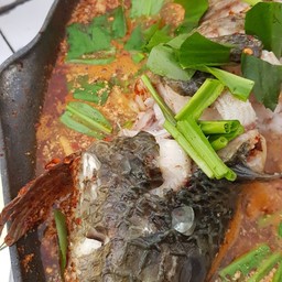 ปลาช่อนสดสดๆใหม่ๆเนื้อหวาน