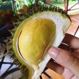 กรีนการ์เด้น สวนธรรมชาติ