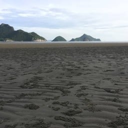 หาดทรายเปียก
