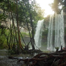 อุทยานแห่งชาติภูจองนายอย
