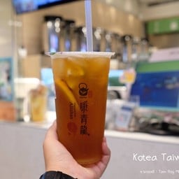 Kotea