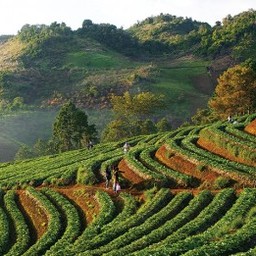 ศูนย์ภูฟ้าพัฒนา