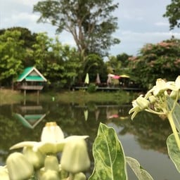 ธรรมชาติสระน้ำรอบๆค่ะ 