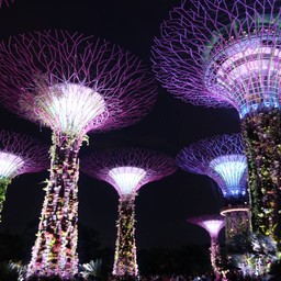 Garden by the Bay