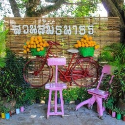 สวนส้มธนาธร