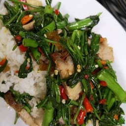 ยงค์โภชนา