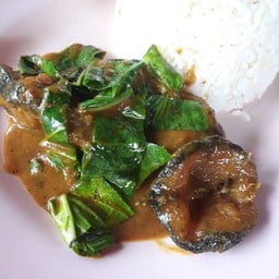 ครัวดารา