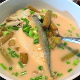 ต้มปลาทูกะทิสายบัว