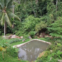 บ่อเลี้ยงปลาครับ ถ้าจะเล่นน้ำ ที่รีสอร์ทเรามีน้ำตกส่วนตัวให้เล่นเลยครับ 